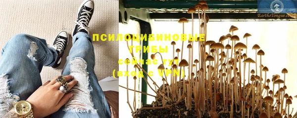 СК Белокуриха
