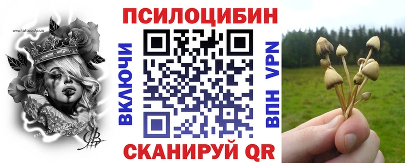 где купить   Вытегра  Галлюциногенные грибы ЛСД 